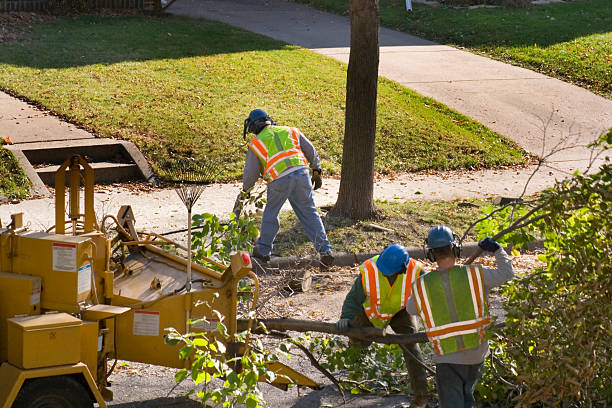 Best Tree and Shrub Care  in Runaway Bay, TX